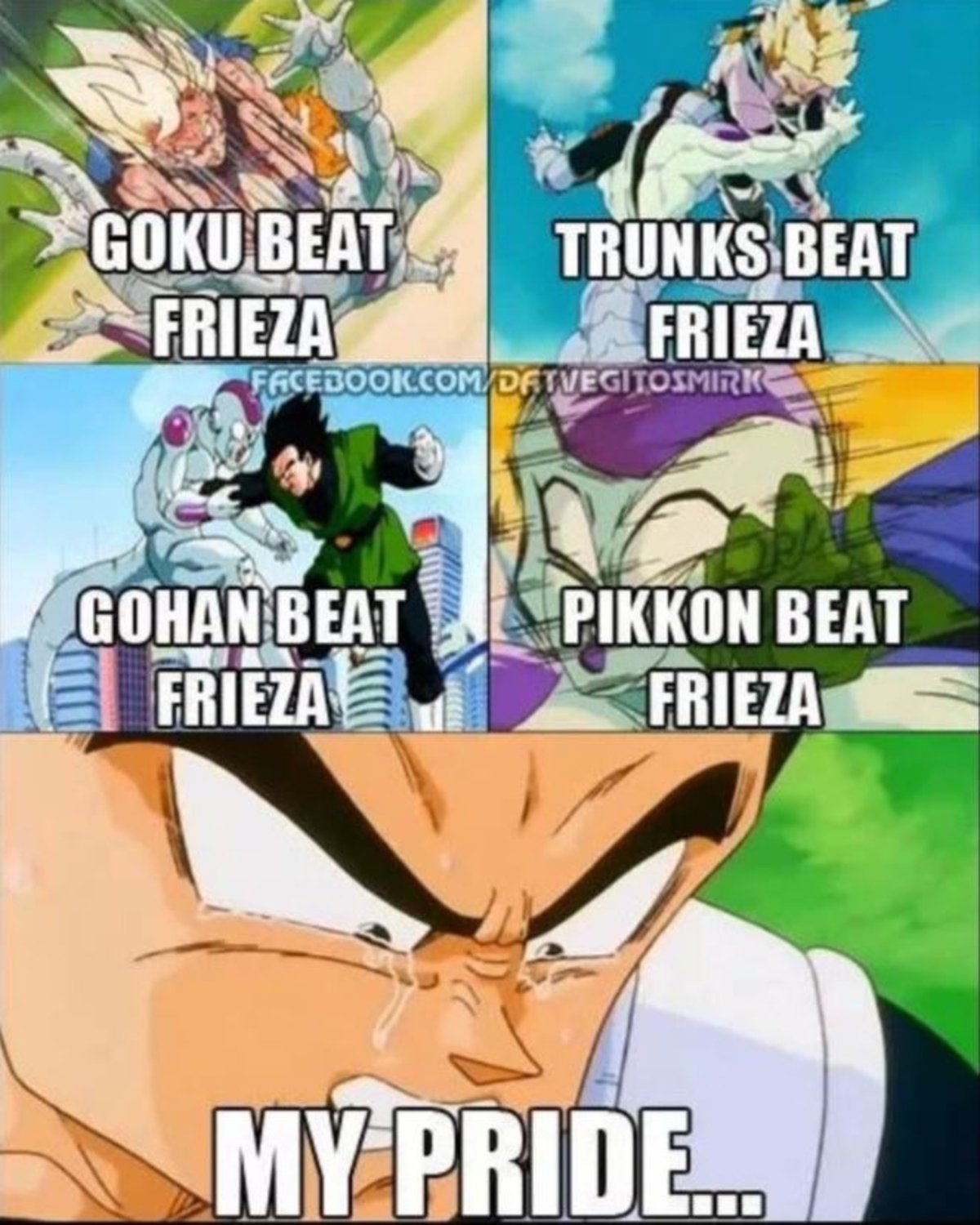 Dragon Ball: 15 memes de Goku y Vegeta que demuestran quién es el mejor saiyan