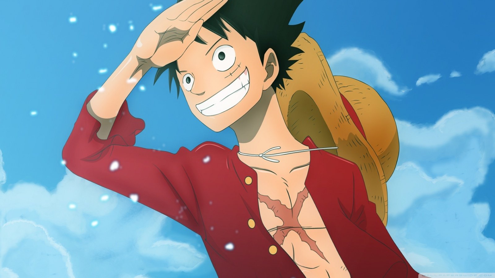 One Piece confirma al nuevo miembro de la tripulación de Luffy